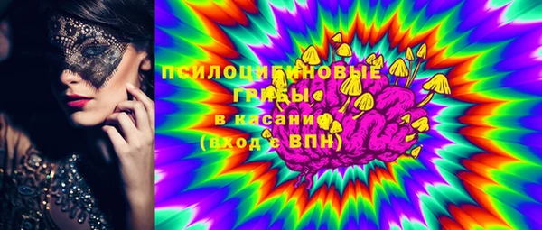 хмурый Инсар